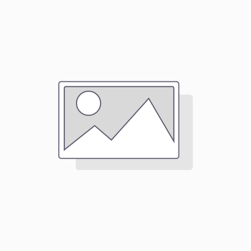 255/30R19 91W YOKOHAMA ADVAN FLEVA V701 XL