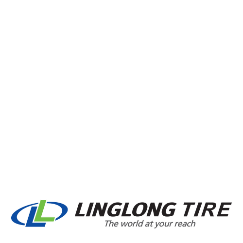 215/70R15C 109R LINGLONG GreenMax Winter Grip Van 2