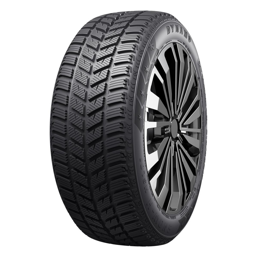 195/55R15 89T DYNAMO SNOW-H MSL01 XL