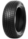 225/55R19 99V DOUBLE COIN DS66HP